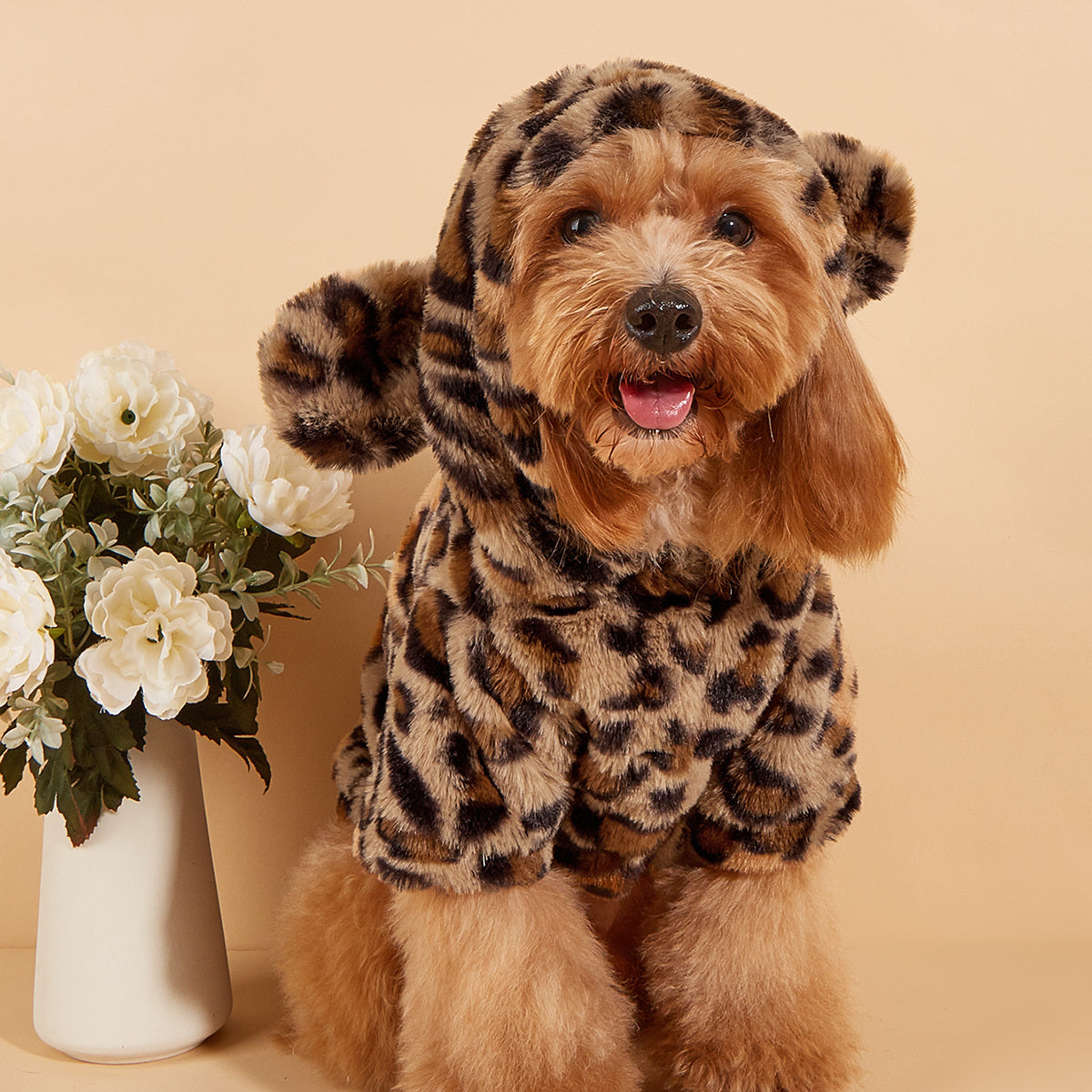 Cozy Leopar Pet Kazak